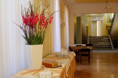 Plasma_2013 (34).JPG